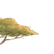 Baum links